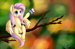 Size: 1280x828 | Tagged: safe, artist:kawaiipony2, fluttershy, butterfly, pegasus, pony, female, mare, sitting, sitting in a tree, solo, tree, tree branch