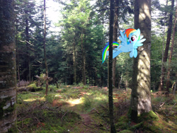 Size: 3264x2448 | Tagged: safe, artist:makenshi179, artist:xpesifeindx, derpibooru import, rainbow dash, flying, forest, irl, photo, ponies in real life, solo, sun, vector