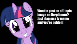 Size: 1048x600 | Tagged: safe, derpibooru import, twilight sparkle, derpibooru, exploitable meme, grin, looking at you, meta, no fun allowed, obligatory pony, smiling, solo, text, tv meme