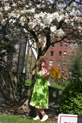 Size: 640x960 | Tagged: safe, artist:acidicsloan, fluttershy, human, 2012, cosplay, irl, irl human, outdoors, photo, sakura con, solo, tree