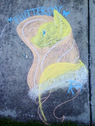 Size: 960x1280 | Tagged: safe, artist:lackabond, fluttershy, pegasus, pony, chalk, chalk drawing, traditional art