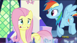 Size: 500x281 | Tagged: safe, derpibooru import, screencap, fluttershy, rainbow dash, pegasus, pony, the cutie map, animated, discovery family, discovery family logo