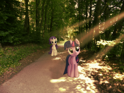 Size: 3264x2448 | Tagged: safe, artist:colorfulbrony, derpibooru import, rarity, twilight sparkle, forest, irl, pathway, photo, ponies in real life, shadow, sunlight, tree, vector