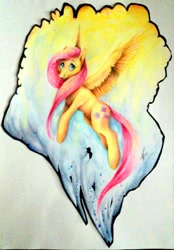 Size: 892x1280 | Tagged: safe, artist:silverfinch, fluttershy, pegasus, pony, best pony, female, mare, solo