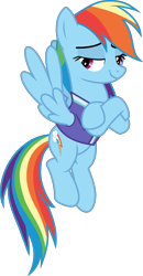 Size: 1771x3417 | Tagged: safe, artist:frownfactory, derpibooru import, rainbow dash, pegasus, pony, the end in friend, .svg available, clothes, crossed arms, cutie mark, female, lidded eyes, mare, shirt, simple background, smug, solo, svg, transparent background, vector, wings