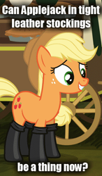 Size: 298x512 | Tagged: safe, edit, edited screencap, screencap, applejack, earth pony, pony, somepony to watch over me, boots, caption, female, fireproof boots, image macro, leather, mare, meme, solo