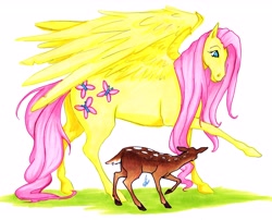 Size: 5007x4047 | Tagged: safe, artist:wishing0nthestars, fluttershy, deer, pegasus, pony, absurd resolution, traditional art