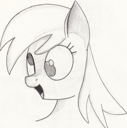 Size: 1280x1290 | Tagged: safe, artist:itsthinking, derpy hooves, pony, bust, female, monochrome, open mouth, portrait, simple background, smiling, solo, traditional art