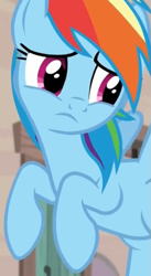 Size: 551x1003 | Tagged: safe, derpibooru import, screencap, rainbow dash, pegasus, pony, the cutie map, flying, reaction image, solo