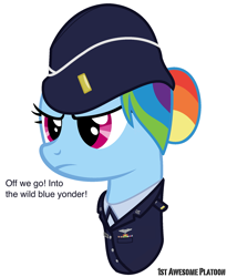 Size: 788x960 | Tagged: safe, artist:ethanchang, derpibooru import, part of a set, rainbow dash, pegasus, pony, 1st awesome platoon, 2nd lieutenant, air force, awards, dress uniform, military, military uniform, ribbon