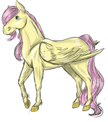 Size: 3547x4000 | Tagged: safe, artist:lisa400, fluttershy, pegasus, pony, colored sketch, realistic, sketch, solo