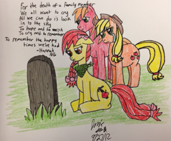 Size: 777x640 | Tagged: safe, artist:rainbow-pastel, apple bloom, applejack, big macintosh, earth pony, pony, grave, male, stallion, traditional art