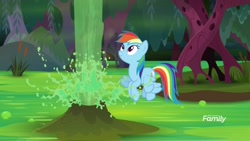 Size: 1920x1080 | Tagged: safe, derpibooru import, screencap, rainbow dash, pegasus, pony, the end in friend, cattails, female, flying, froggy bottom bog, geyser, looking up, mare, smiling, solo, swamp, water