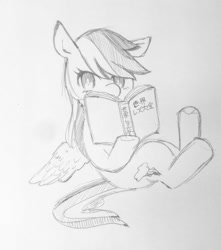 Size: 904x1024 | Tagged: safe, artist:yamakurayamada, derpibooru import, rainbow dash, pegasus, pony, book, grayscale, japanese, monochrome, reading, solo, traditional art