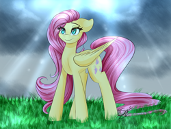 Size: 1024x768 | Tagged: safe, artist:sugarberry, fluttershy, pegasus, pony, female, floppy ears, mare, solo