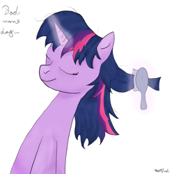 Size: 1000x1000 | Tagged: safe, artist:rodolfomushi, derpibooru import, twilight sparkle, brush, magic, solo