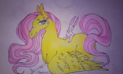 Size: 1280x768 | Tagged: safe, artist:ragingrexasaurus, angel bunny, fluttershy, pegasus, pony, female, mare, traditional art