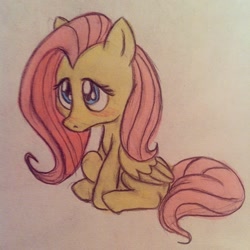 Size: 640x640 | Tagged: safe, artist:dux, fluttershy, pegasus, pony, blushing, sitting, solo, traditional art