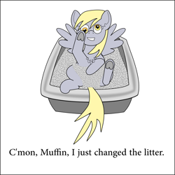 Size: 1434x1434 | Tagged: safe, artist:planetkiller, part of a set, derpy hooves, pony, chest fluff, litter ponies, litterbox, looking down, looking up, prone, simple background, solo, text, underhoof