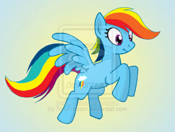 Size: 600x453 | Tagged: dead source, safe, artist:tompreston, derpibooru import, rainbow dash, pegasus, pony, female, flying, mare, smiling, solo, spread wings, watermark