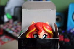 Size: 6000x4000 | Tagged: safe, artist:artofmagicpoland, sunset shimmer, equestria girls, cute, doll, equestria girls minis, eye, eyes, hiding, looking at you, ponies in box, shimmerbetes, solo, toy