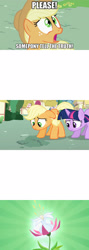 Size: 990x2780 | Tagged: safe, edit, edited screencap, screencap, applejack, twilight sparkle, earth pony, pony, the cutie pox, blank, comic, exploitable, exploitable meme, flower, meme, screencap comic, sunburst background, template, truth meme