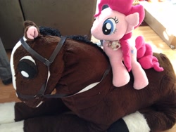 Size: 3264x2448 | Tagged: safe, artist:kwills84, pinkie pie, horse, horse-pony interaction, irl, photo, plushie, ponies riding horses, ponk