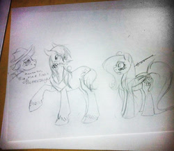 Size: 744x650 | Tagged: artist needed, safe, applejack, big macintosh, fluttershy, earth pony, pegasus, pony, flower, fluttermac, male, monochrome, mouth hold, pencil drawing, shipping, sketch, stallion, straight, traditional art