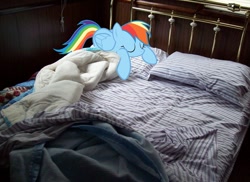 Size: 900x655 | Tagged: safe, artist:barnyardfan4, derpibooru import, edit, rainbow dash, irl, photo, ponies in real life, solo