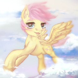 Size: 3000x3000 | Tagged: safe, artist:czbaterka, butterscotch, fluttershy, pegasus, pony, cloud, cloudy, flying, rule 63, solo, spread wings