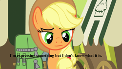 Size: 1920x1080 | Tagged: safe, applejack, earth pony, pony, female, image macro, mare, meme, solo