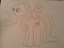 Size: 2592x1936 | Tagged: artist needed, safe, fluttershy, pegasus, pony, monochrome, show accurate, solo, traditional art