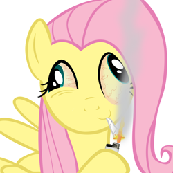 Size: 894x894 | Tagged: safe, artist:paultorsynocobnik, fluttershy, pegasus, pony, 420, flutterhigh, flutterjoint, high, marijuana, solo