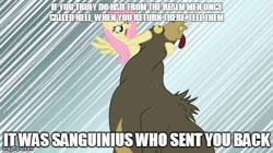 Size: 490x275 | Tagged: safe, edit, edited screencap, screencap, fluttershy, bear, pegasus, pony, lesson zero, female, flutterrage, mare, meme, neck snap, quote, sanguinius, warhammer (game), warhammer 30k, warhammer 40k