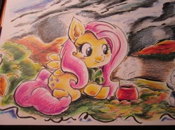 Size: 1024x760 | Tagged: safe, artist:milkcannon, fluttershy, pegasus, pony, female, mare, outdoors, traditional art