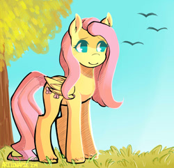 Size: 1280x1236 | Tagged: safe, artist:kittenlover101, fluttershy, pegasus, pony, grass, solo, unshorn fetlocks