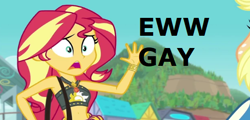 Size: 488x235 | Tagged: safe, edit, edited screencap, screencap, applejack, sunset shimmer, better together, equestria girls, forgotten friendship, ew gay, homophobia