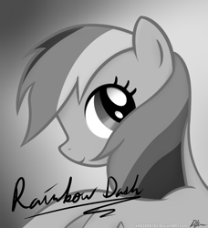 Size: 894x979 | Tagged: dead source, safe, artist:xhazard78x, derpibooru import, rainbow dash, pegasus, pony, the mysterious mare do well, autograph, black and white, bust, grayscale, monochrome, photo, portrait, poster, solo, vector