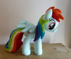 Size: 1024x848 | Tagged: safe, artist:wild-hearts, derpibooru import, rainbow dash, custom, irl, photo, plushie, solo