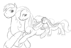 Size: 1402x945 | Tagged: safe, artist:patch, big macintosh, fluttershy, oc, earth pony, pegasus, pony, bedroom eyes, belly, eyes closed, fluttermac, male, monochrome, offspring, parent:big macintosh, parent:fluttershy, parents:fluttermac, pregnant, prone, shipping, simple background, sketch, smiling, stallion, straight, touch, white background