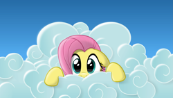 Size: 5331x3000 | Tagged: safe, artist:blackgryph0n, fluttershy, pegasus, pony, cloud, cover art, looking at you, solo