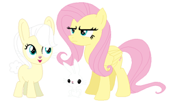 Size: 652x410 | Tagged: safe, artist:unoriginai, angel bunny, fluttershy, oc, oc:cotton tail, hybrid, pegasus, pony, rabbit, angelshy, bunny ears, bunnypone, female, goddamnit unoriginai, interspecies, interspecies offspring, laquine, male, offspring, parent:angel bunny, parent:fluttershy, parents:angelshy, rabbit tail, shipping, straight, wat