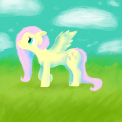 Size: 1000x1000 | Tagged: safe, artist:coyotoscoping, fluttershy, pegasus, pony, female, mare, pink mane, solo, yellow coat