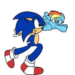 Size: 800x800 | Tagged: safe, artist:sailormod, derpibooru import, rainbow dash, pegasus, pony, crossover, simple background, sonic the hedgehog, sonic the hedgehog (series), white background