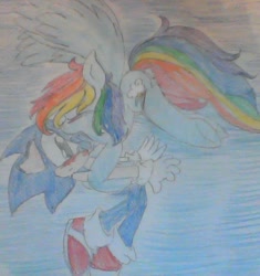 Size: 664x706 | Tagged: safe, artist:shadowthehedghog3, derpibooru import, rainbow dash, pegasus, pony, crossover, crossover shipping, female, male, photo, shipping, sonic the hedgehog, sonic the hedgehog (series), sonicdash, straight, traditional art