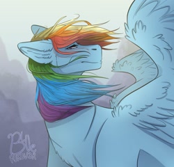 Size: 1200x1153 | Tagged: safe, artist:bluefor3v3r, derpibooru import, rainbow dash, pegasus, pony, solo, windswept mane