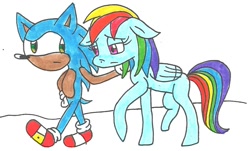 Size: 1008x608 | Tagged: safe, artist:cmara, derpibooru import, rainbow dash, pegasus, pony, crossover, crossover shipping, female, interspecies, love, male, shipping, sonic the hedgehog (series), sonicdash, straight, traditional art