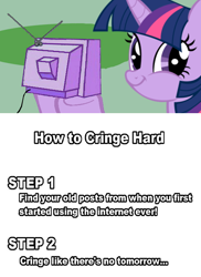 Size: 562x771 | Tagged: safe, derpibooru import, twilight sparkle, exploitable meme, meme, obligatory pony, text, truth, tv meme, twiface