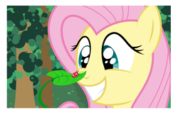 Size: 6173x4000 | Tagged: safe, artist:plsim, fluttershy, ladybug, pegasus, pony, absurd resolution, vector