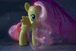 Size: 6000x4000 | Tagged: safe, artist:explonova, fluttershy, brushable, irl, photo, photography, solo, toy